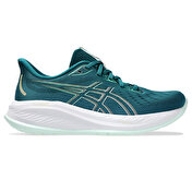 Mizuno gel clearance cumulus